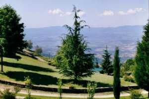 Prenota il tuo Agriturismo a Cortona in Valdichiana, Toscana per le tue prossime vacanze in affitto con piscina a Castelfranco di Sopra provincia di A 5