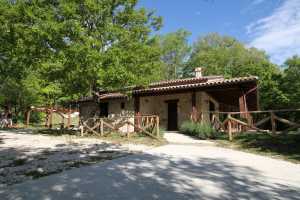 Private farmhouse vacations rentals with pool near Benevento in val di Sannio. Beautuful park immersed in a wood with 2 bedrooms and 2 baths 3