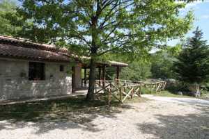 Private farmhouse vacations rentals with pool near Benevento in val di Sannio. Beautuful park immersed in a wood with 2 bedrooms and 2 baths 4