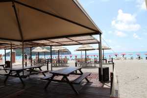 Seafront vacation villa rental with amazing view of Mediterranean sea at Praia a Mare. This holiday seafront villa has 6 bedrooms and 9 bathrooms 9