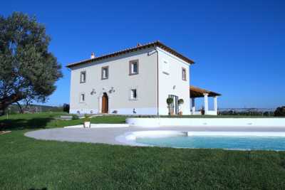 Villa vacations rentals with pool near Canino Viterbo, beautiful private park with olive trees with stunning view. 3 bedrooms, 3 bathrooms up to 6 sle