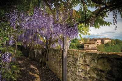 Prenota adesso la tua vacanza a San Giustino V.arno in Toscana in questa meravigliosa residenza esclusiva con piscina, in provincia di Arezzo nel V.ar