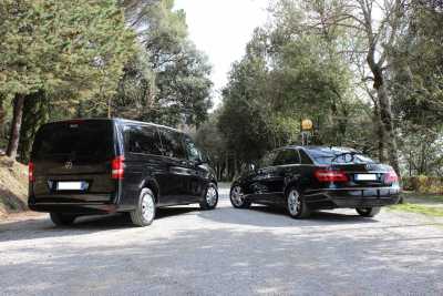 Transfers by bus, minibus, van, minivan, cars, New luxury cars, Mercedes