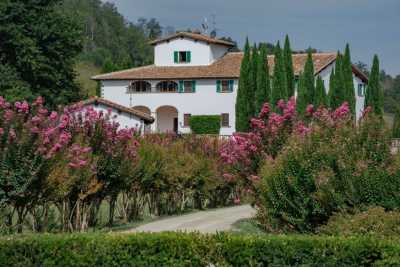rent your villa in Reggello a villa with swimming pool for rent in Reggello in Tuscany with splendid countryside views, villa wonder for holidays