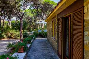 Affitto villa fronte mare con accesso diretto alla spiaggia di Roccamare Castiglione della Pescaia Toscana vicinissima al mare, villa grosseto toscana 16