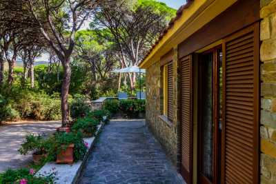 Affitto villa fronte mare con accesso diretto alla spiaggia di Roccamare Castiglione della Pescaia Toscana vicinissima al mare, villa grosseto toscana 16