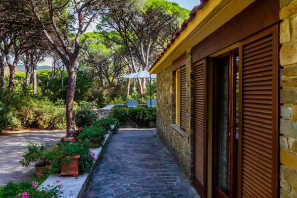 Affitto villa fronte mare con accesso diretto alla spiaggia di Roccamare Castiglione della Pescaia Toscana vicinissima al mare, villa grosseto toscana 16